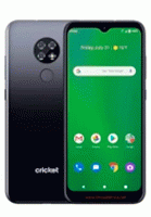 Cricket Ovation Cricket Ovation