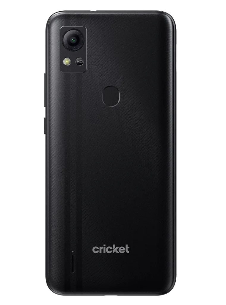 Cricket Icon 5